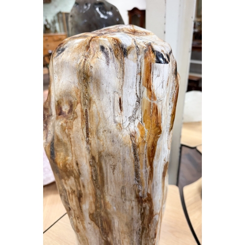 316 - A large piece of petrified wood from The Congo, Africa, 20