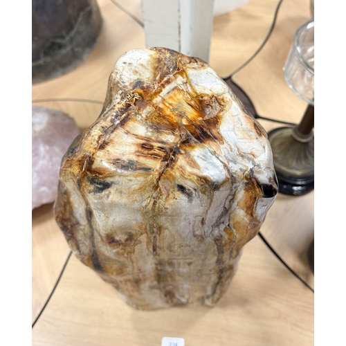 316 - A large piece of petrified wood from The Congo, Africa, 20