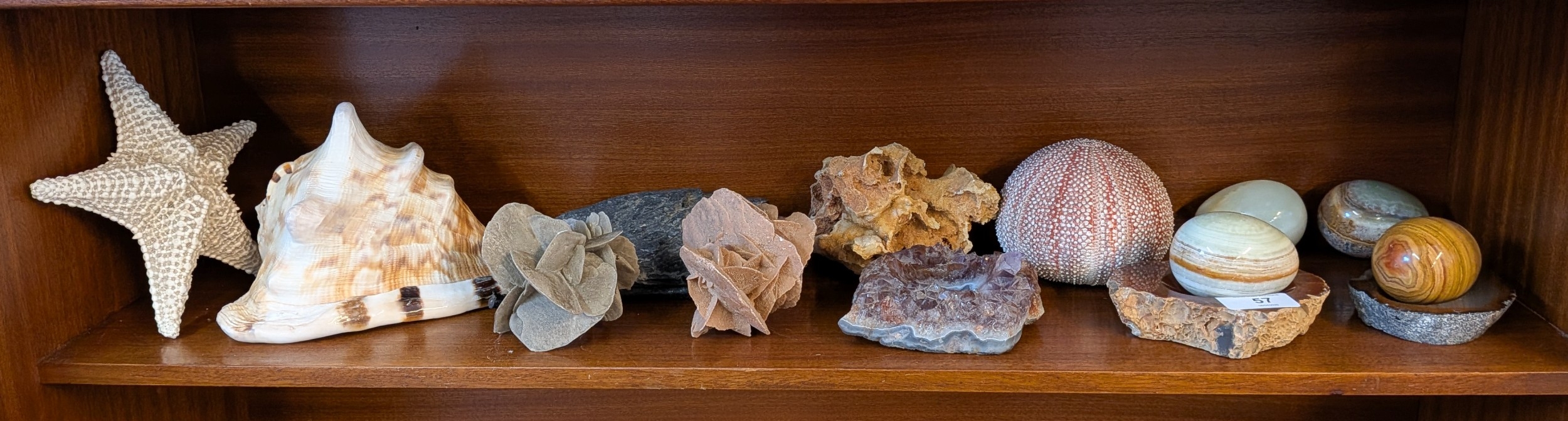 A collection of Agate eggs together with assorted shells