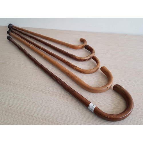 908 - Collection of 5 x Cane and Wood Walking Sticks