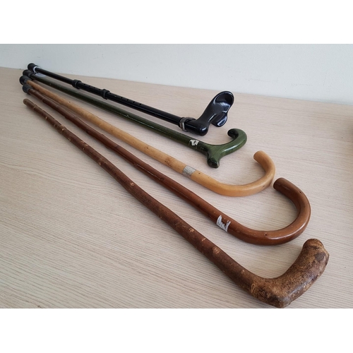 907 - Collection of 5 x Cane and Wood Walking Sticks, Incl. Adjustable Metal One