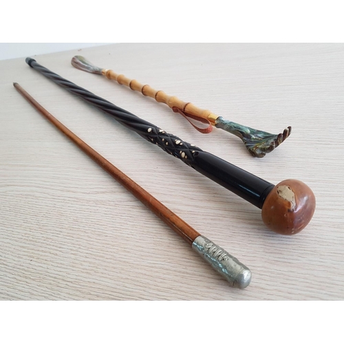 943 - Queens Regiment Swagger Stick Together with Twisted Ebony Cane and Back Scratcher (3)