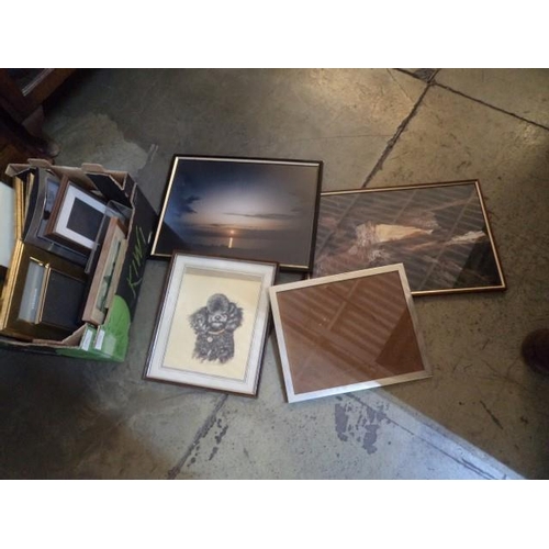 859 - Large Quantity of Photo Frames