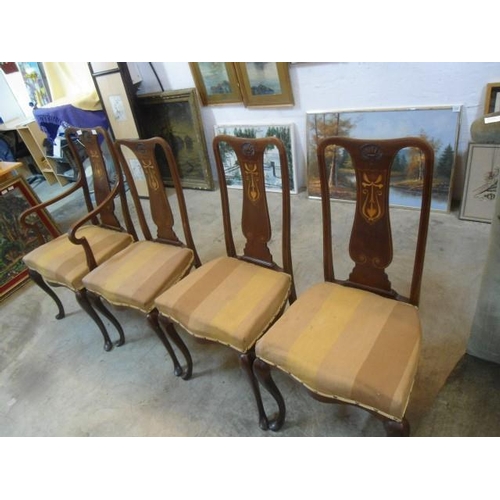 723 - 4 x Edwardian Mahogany Chairs, Queen Anne Backed with Marquetry