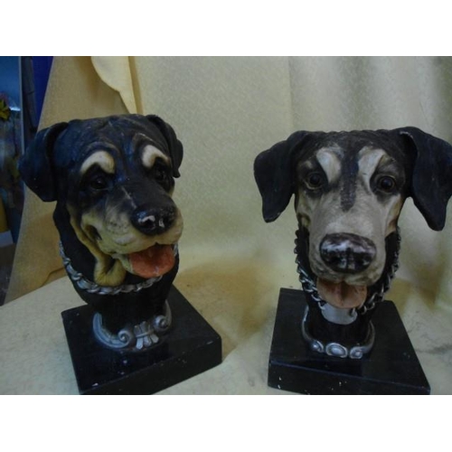 965 - Ornamental Dog Busts/ Bookends  on Heavy Bases -