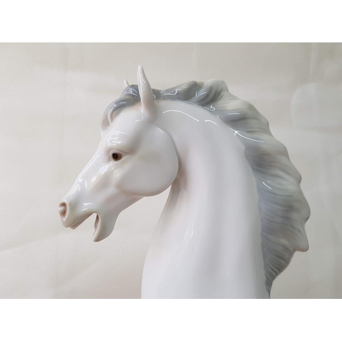 81 - Lladro Figurine of Grey Horse / Stallion (#4781), Approx 45cm High.