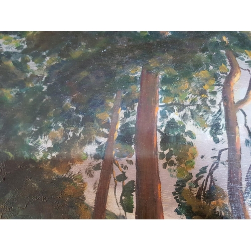 458 - Framed Oil on Board of Forrest Scene, Signed Alfred Richard Blundell, (1883-1968), (56cm x 45cm Over... 