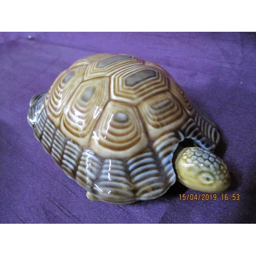 421 - Porcelain Turtle (Wade) Trinket Box
