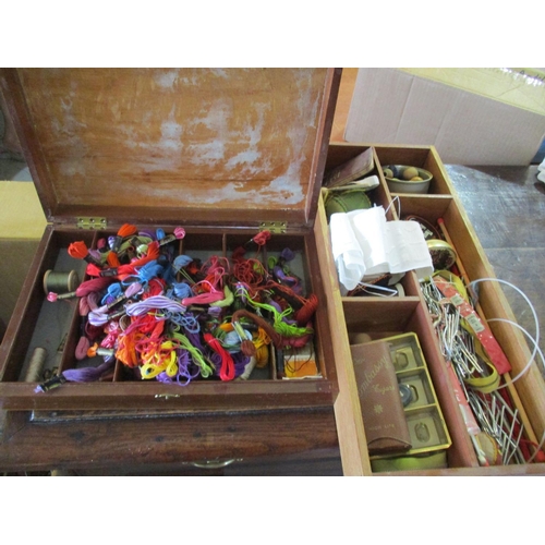Lot 464       