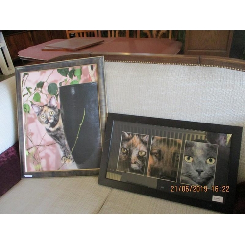 76 - Cats & Dog in Photo Frame, (2)