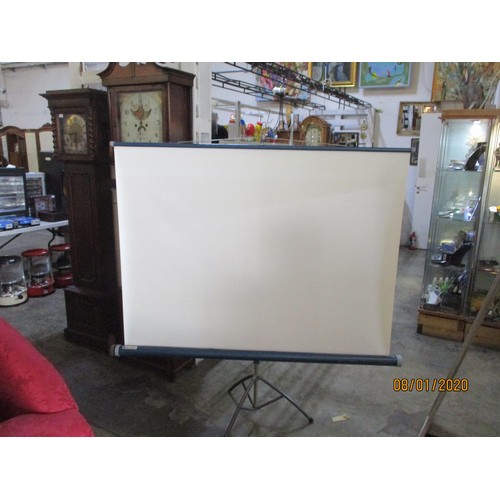 60a - Bell & Howell Projector Screen