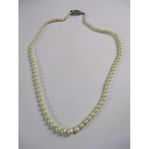 6075 - Real Necklace (Natural Pearl and Silver Clasp)