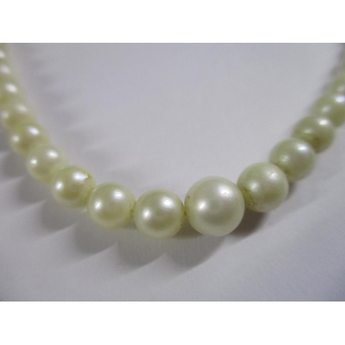 6075 - Real Necklace (Natural Pearl and Silver Clasp)