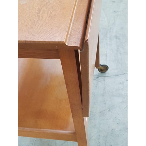 19 - Wooden Drop Leaf Table (Bar) on Wheels (40cm - 84cm x 61cm x 75cm)