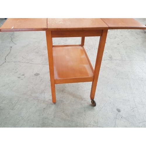 19 - Wooden Drop Leaf Table (Bar) on Wheels (40cm - 84cm x 61cm x 75cm)