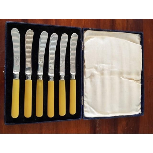 81 - Vintage Cutlery (Stainless Steel / Nikel EPNS ) Set of Tea Spoons in Display Box and 2 x Sets (2x6) ... 