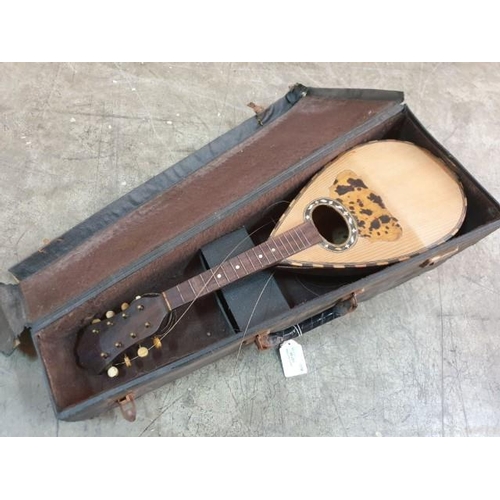 Lot 85        