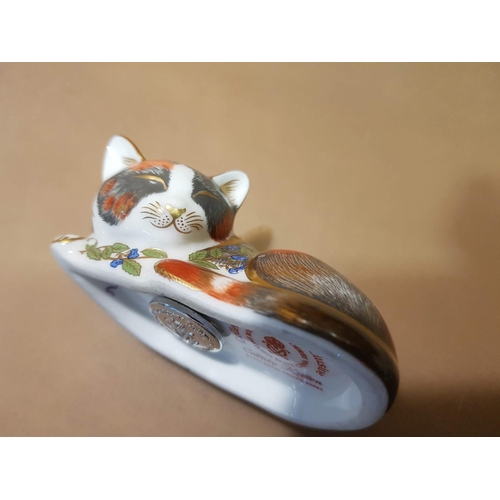 38 - Royal Crown Derby 'Catnip Kitten' (Sleeping Cat) from the 'Collectors Guild Exclusive' range, Englis... 