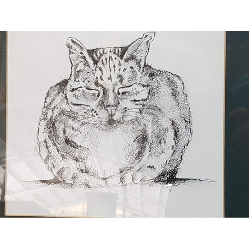 455 - Sketch in Frame of a Cat