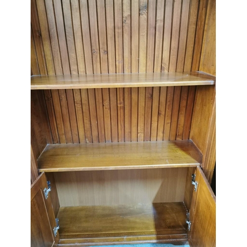 272 - Light Weight - Dark wood Shelving Unit with Lower 2 - Door Cupboard (H:192cm x W:96cm x D:30cm)