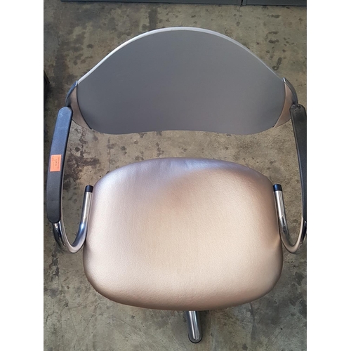 768 - Gold / Grey Trendy Hairdresser Swing Chair