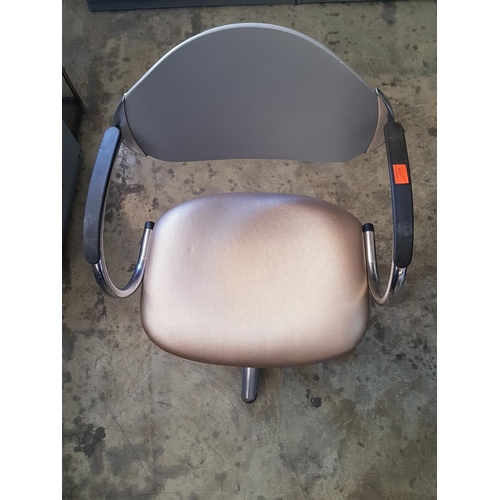 770 - Gold / Grey Trendy Hairdresser Swing Chair