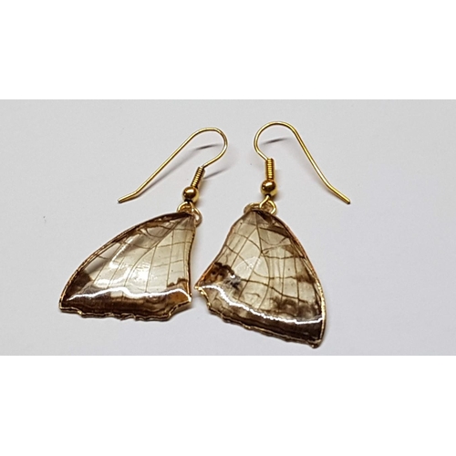 41A - Pair of 585 - 14ct Yellow Gold Earrings in Greek Pattern with Blue Lapis Stone, Total Weight 2.9gr a... 