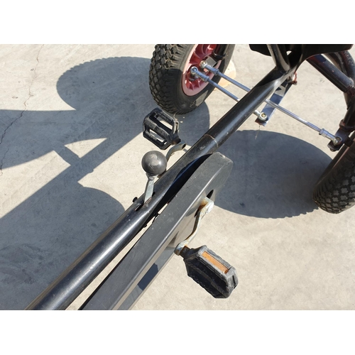 4 - 2 - Person Pedal Go - Kart (Adult Size)