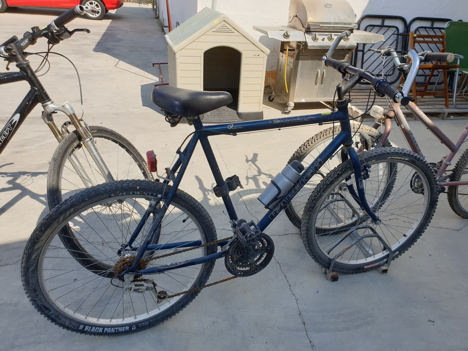 Raleigh endurance hot sale bike