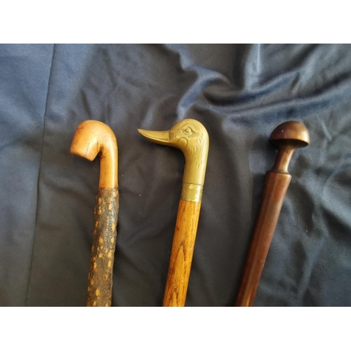 62 - 3 x Vintage Waking Sticks