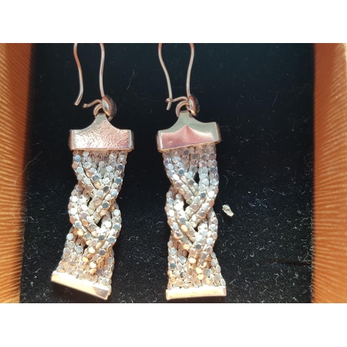 171 - Pair of Silver Earrings