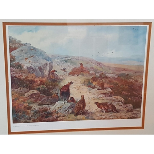 150A - Red Grouse Print of Work of Archibald Thorburn (1930) Print 325/500 (70cm x 59cm)