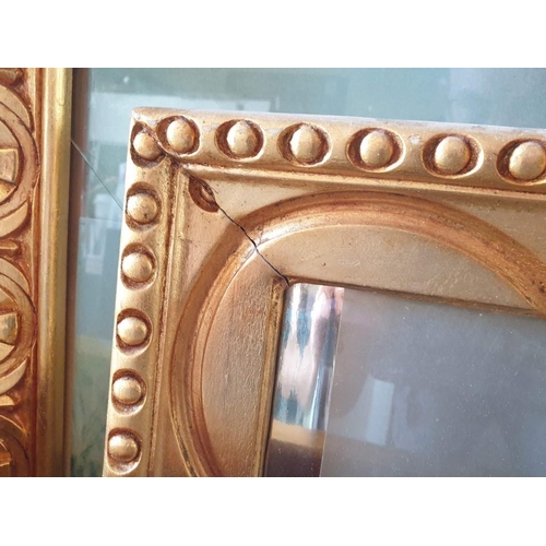138 - Pair of Gold Finish Decorative Carved Wood Glass and Poster (each 79cm x 64cm) (2)
