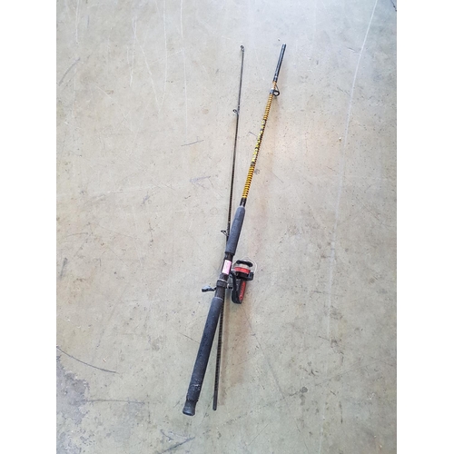 119 - Keenets Fishing Rod (8ft, 2.4m0 Spin with Silstar Spinning JT 40