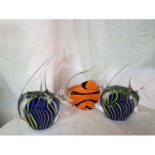 198 - Collection of 7 x Matching Murano Glass Style Fish (Ornaments) (3 x H:21cm each, One A/F Chipped Tai... 