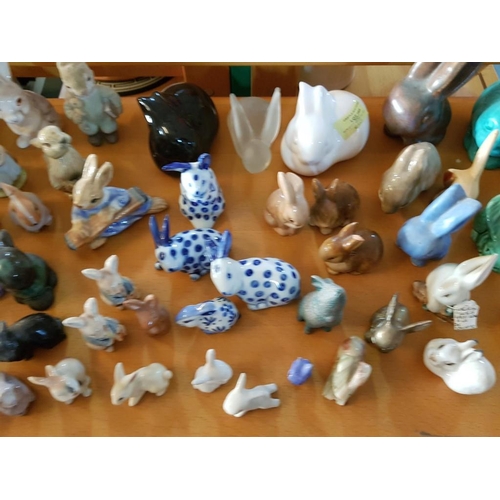 165 - Huge Collection of Bunnies (Various Sizes, Colours etc) (Approx 50 and Some Others)