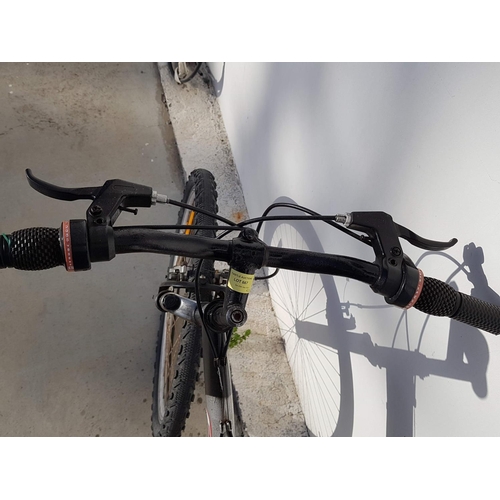 667 - Fanatic Race Diamond Mountain Bike