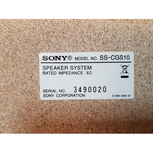 700 - Pair of Sony Speakers in Wooden Frame