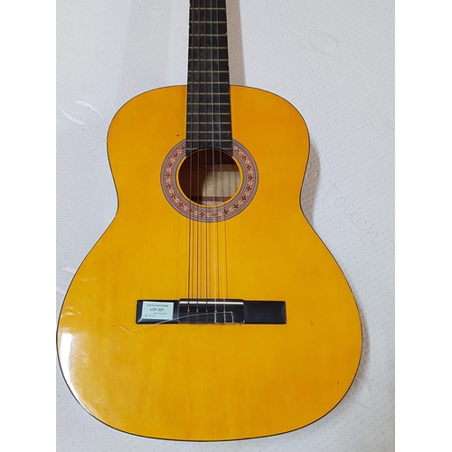 327 - Country Model N: 2460 Classical Guitar