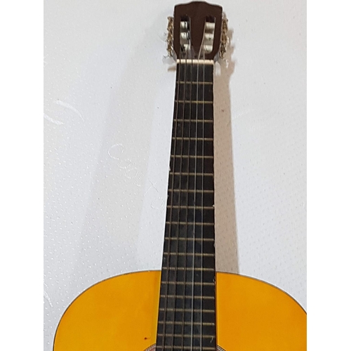 327 - Country Model N: 2460 Classical Guitar