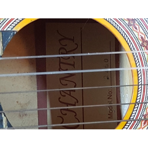 327 - Country Model N: 2460 Classical Guitar
