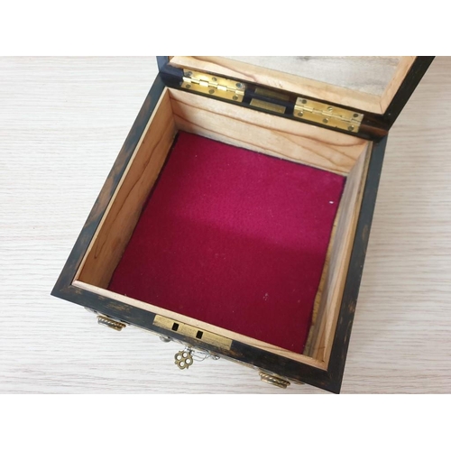81D - A 19th Century French Coromandel Casket The Lid with a Brass Cross Set with Pietra Dura Plaques (18.... 
