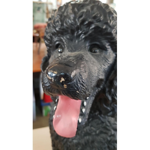 89 - 2 x Poodle Dog Ornaments; Large Black Colour Plastic and Cream Colour Resin Poodles, (H:39cm & H:64c... 