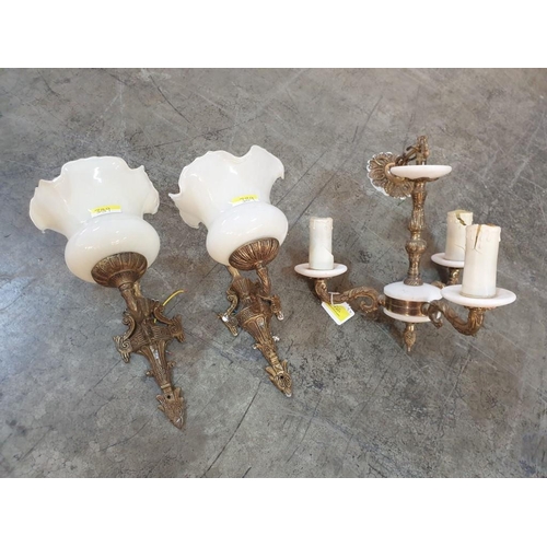 Lot 389       