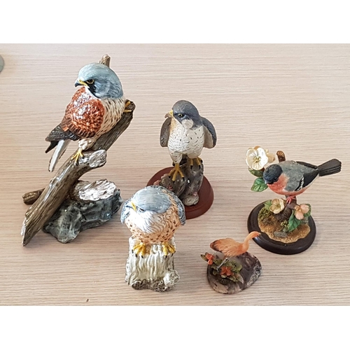 486 - Collection of 5 x Fine Birds Figurines (1 x Country Artist, 2 x Studio Border Fine Arts and 2 x Othe... 