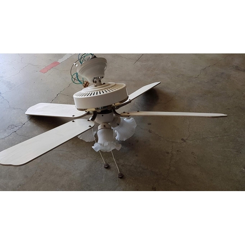 250 - White Ceiling Fan