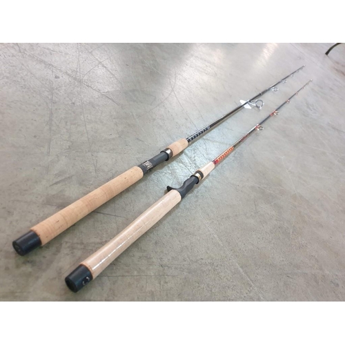cabela im6 fishing pole 2 x Fishing Rods; Cabela's Salt Striker Spinning Rod and Cabela's Pro Guide  IM6 Casting Rod (2)