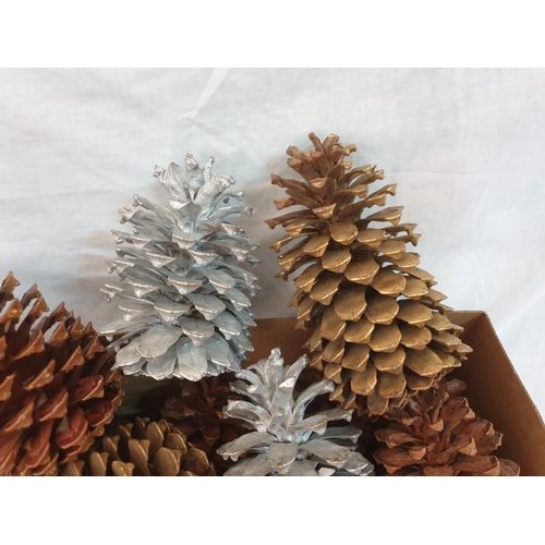242 - 31 x Very Large Decorative Pine Cones