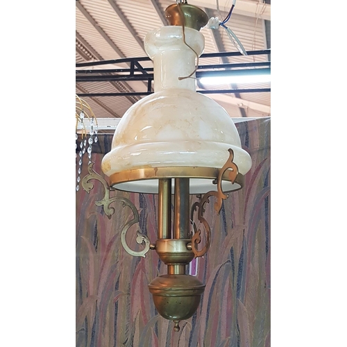 Lot 244       