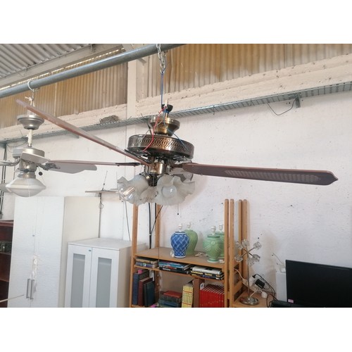 Lot 233       